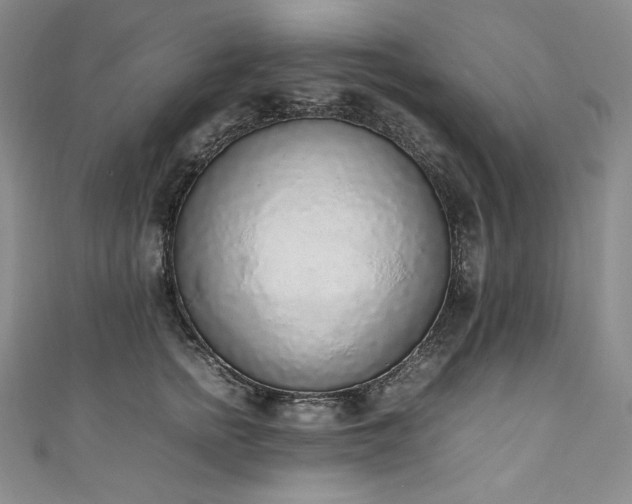 X0000111140758200906301230