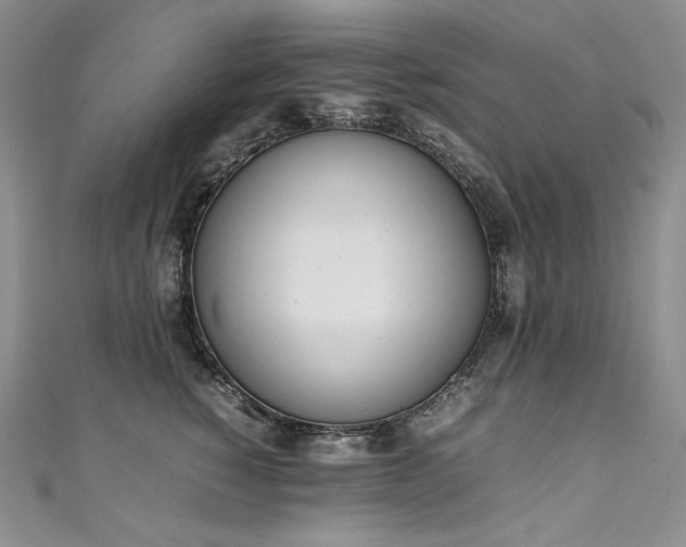 X0000111140760200906301230