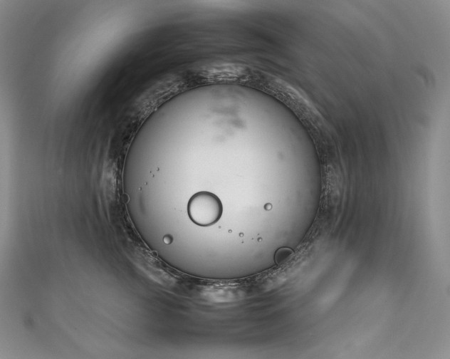 X0000111140761200906301230