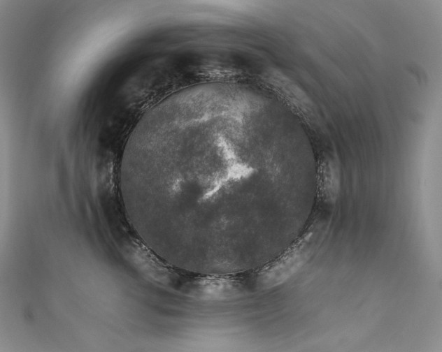 X0000111140762200906301230