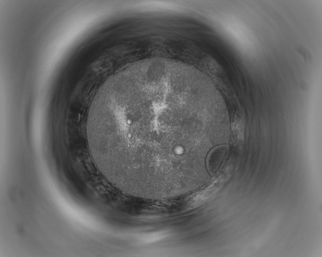 X0000111140765200906301230