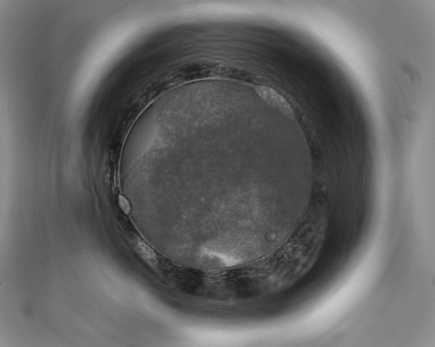 X0000111140766200906301230