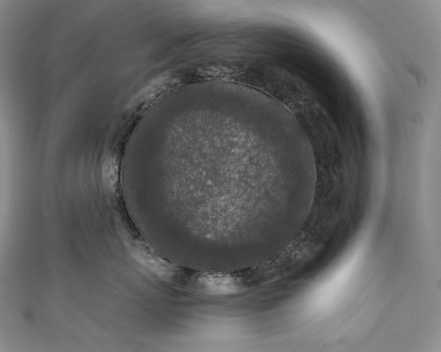 X0000111140767200906301230