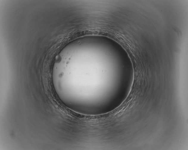 X0000111140769200906301229