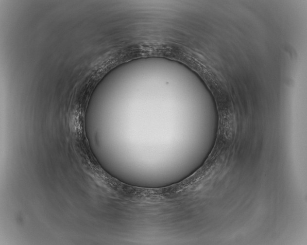 X0000111140770200906301229