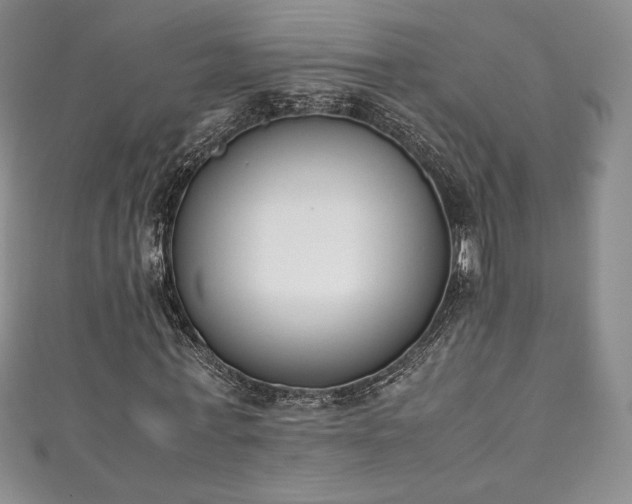 X0000111140771200906301229