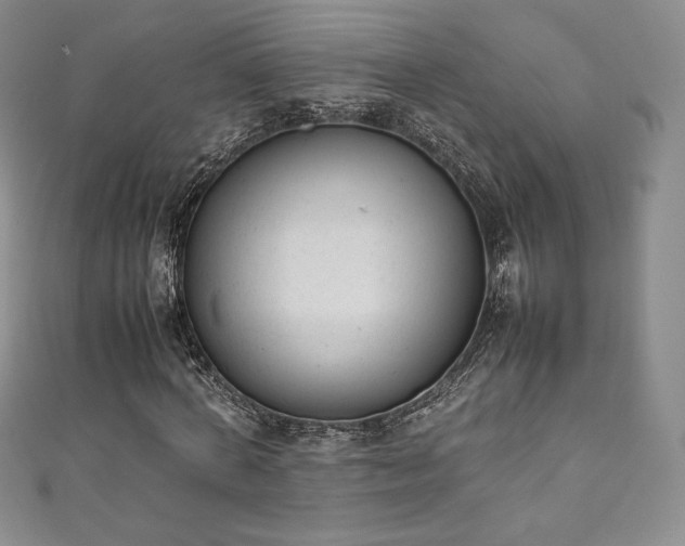 X0000111140772200906301229