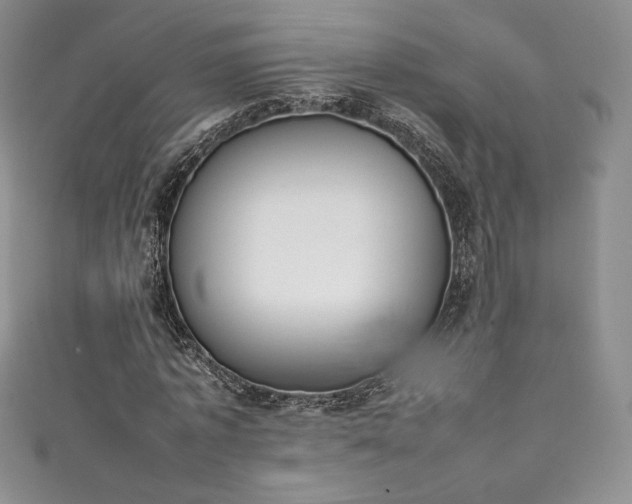 X0000111140773200906301229