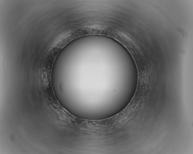 X0000111140774200906301229