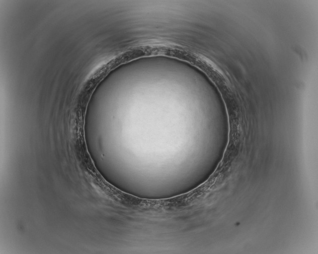 X0000111140775200906301229