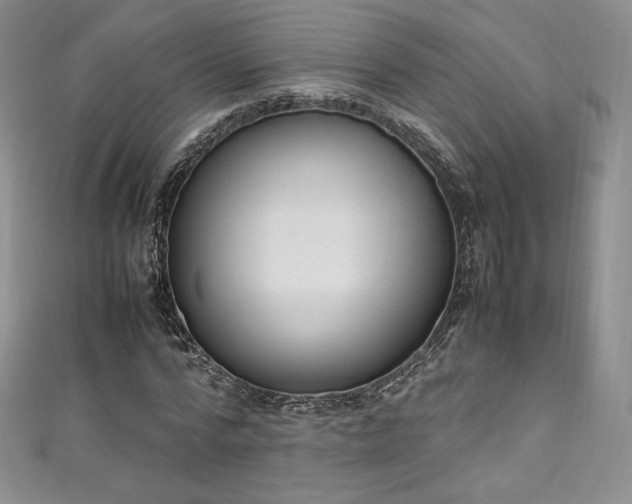 X0000111140776200906301229