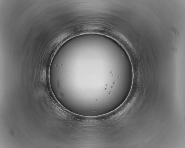 X0000111140777200906301229