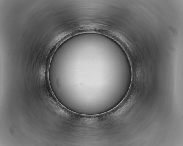 X0000111140778200906301229