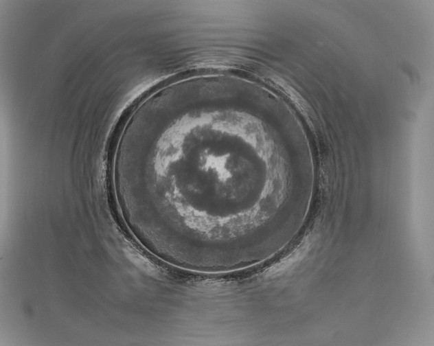 X0000111140779200906301229