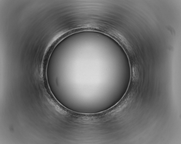 X0000111140780200906301229