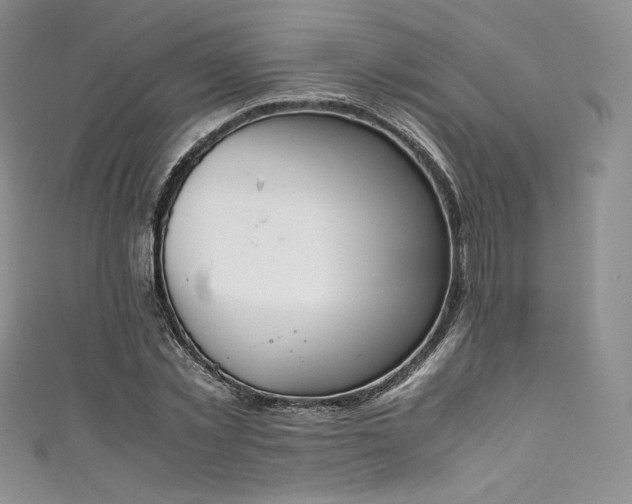 X0000111140781200906301229