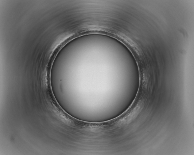 X0000111140782200906301229