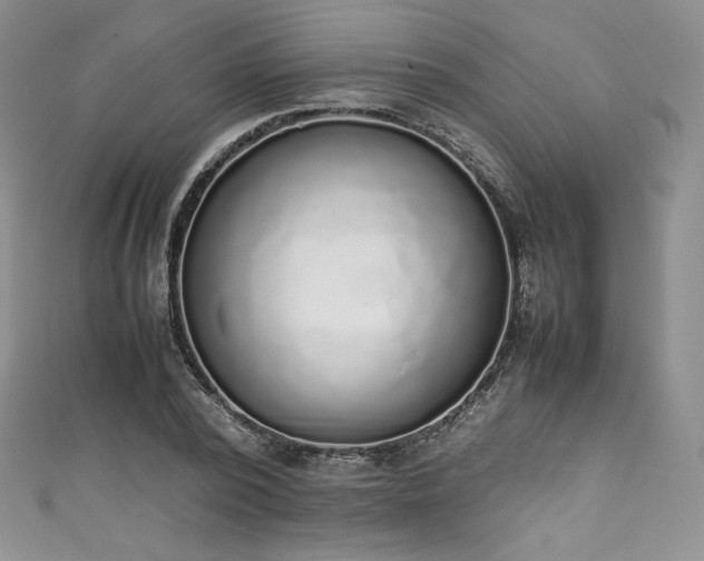 X0000111140784200906301229