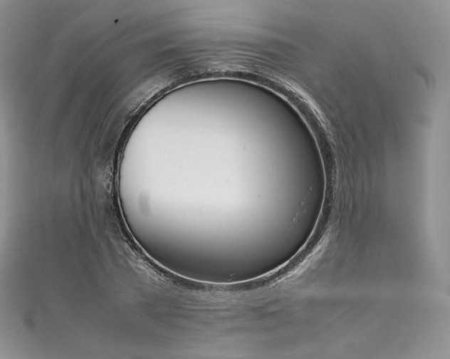 X0000111140785200906301229