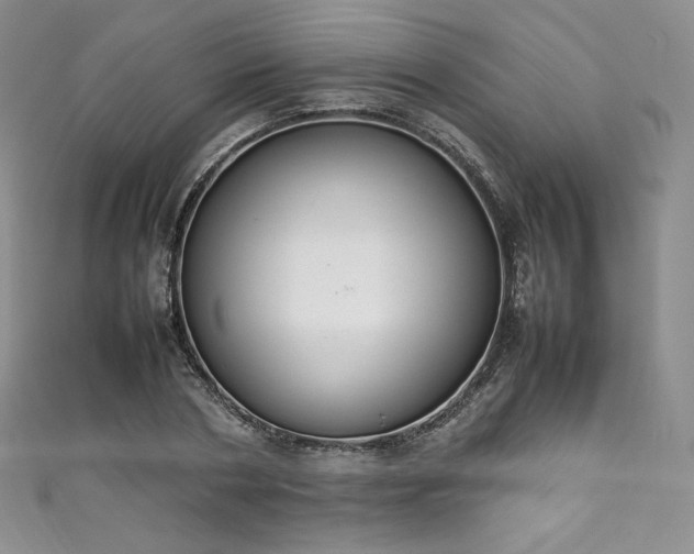 X0000111140786200906301229