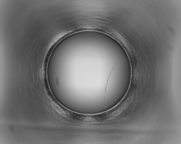 X0000111140787200906301229