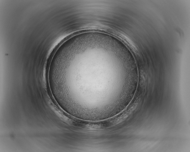 X0000111140788200906301229