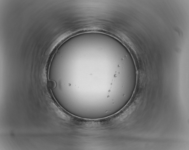 X0000111140789200906301229