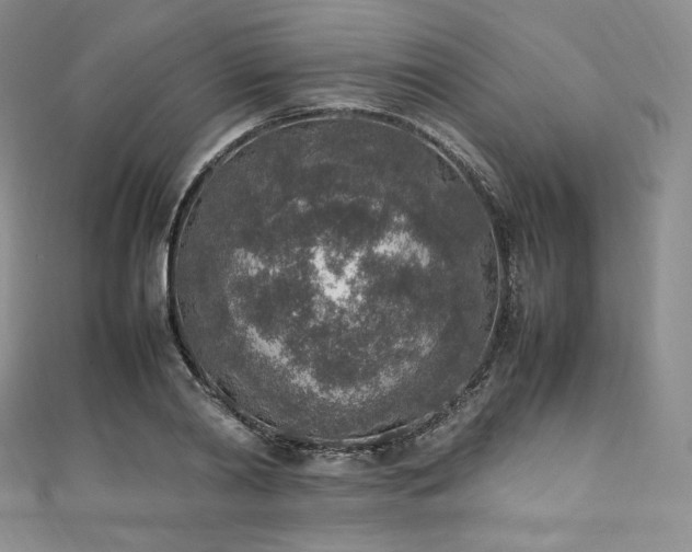 X0000111140790200906301229