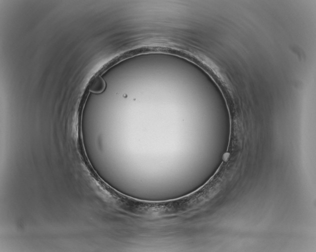 X0000111140791200906301229