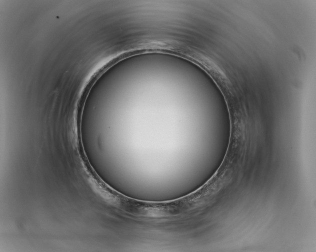 X0000111140792200906301229