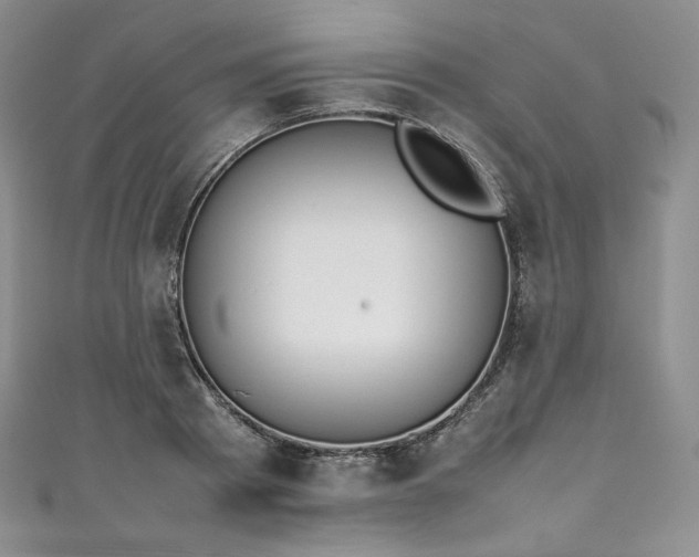 X0000111140793200906301229