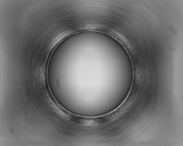 X0000111140794200906301229