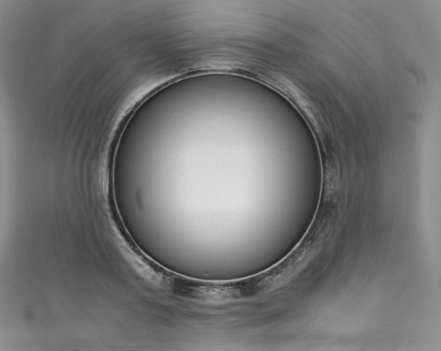 X0000111140795200906301229