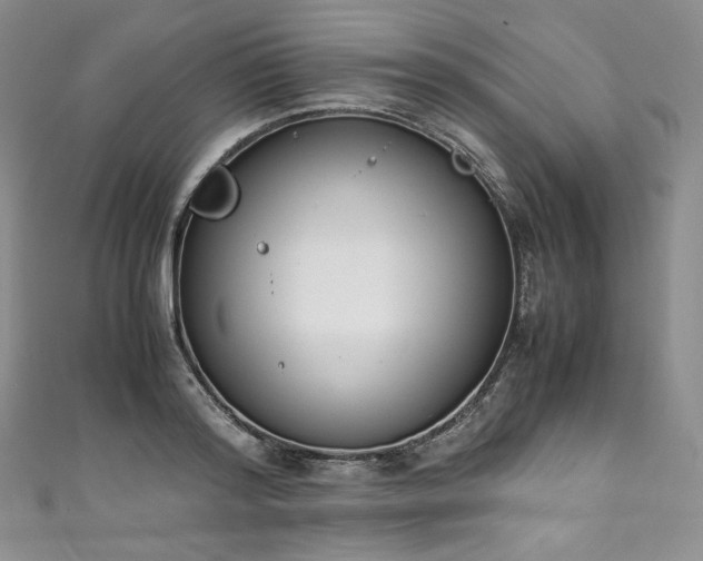 X0000111140796200906301229