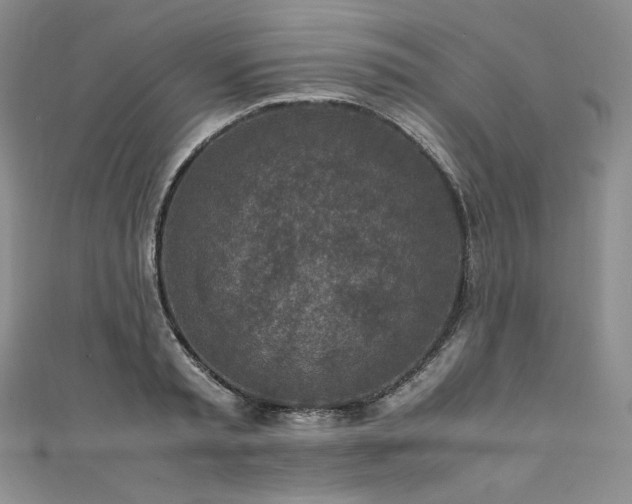 X0000111140797200906301229