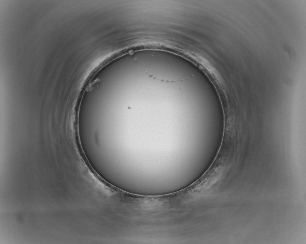 X0000111140799200906301229