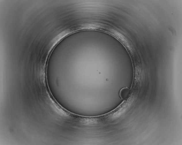 X0000111140802200906301229