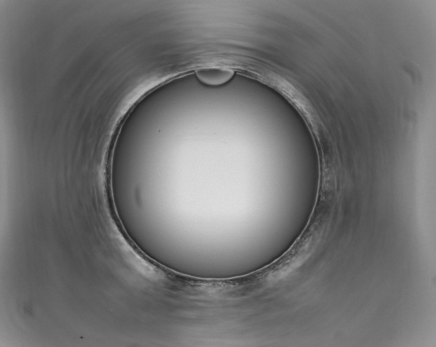 X0000111140803200906301229