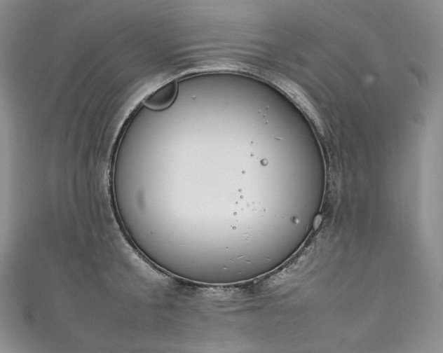 X0000111140805200906301229