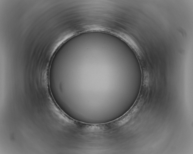 X0000111140806200906301229