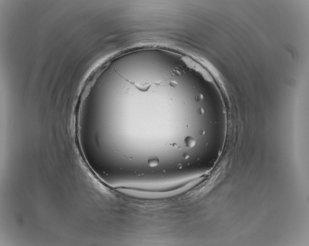 X0000111140807200906301229