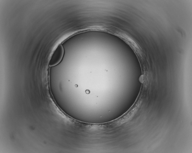 X0000111140808200906301229