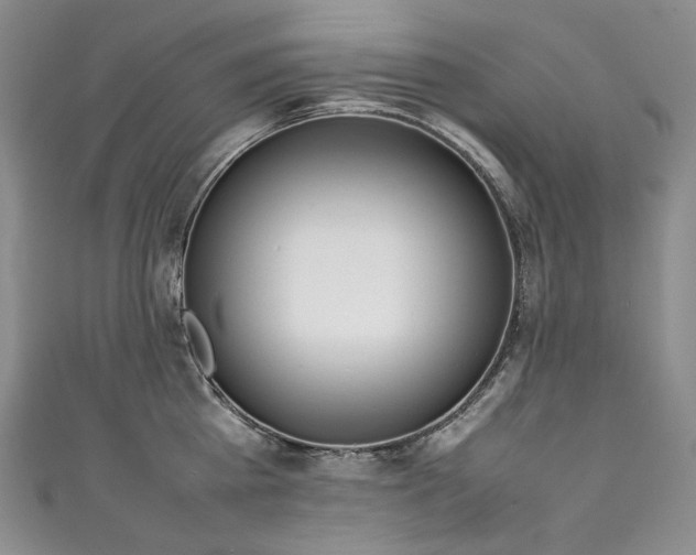 X0000111140809200906301229