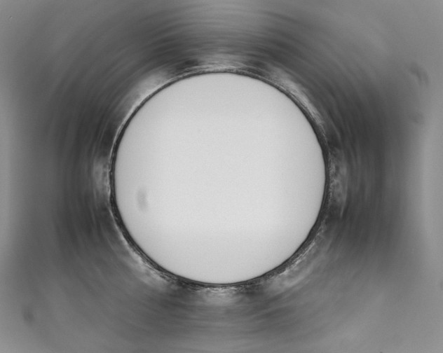 X0000111140810200906301229