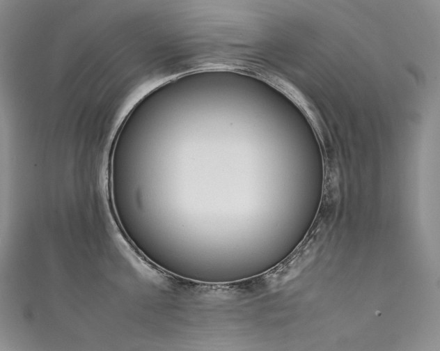 X0000111140811200906301229