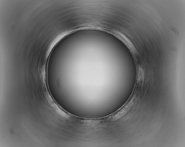 X0000111140812200906301229