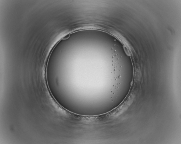 X0000111140813200906301229