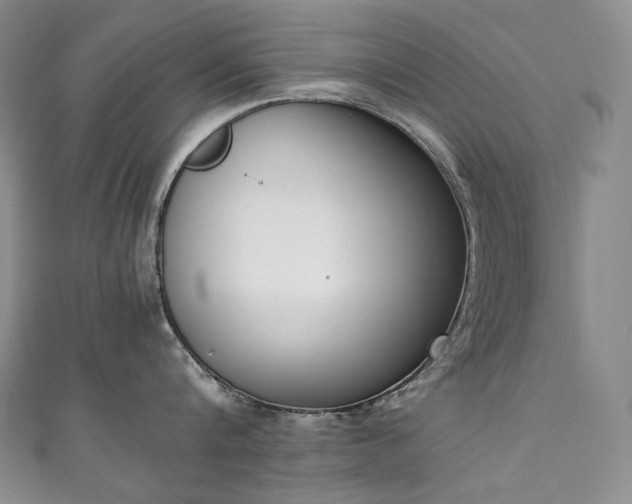 X0000111140816200906301229