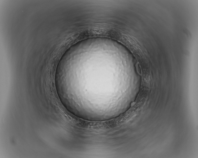 X0000111140817200906301228