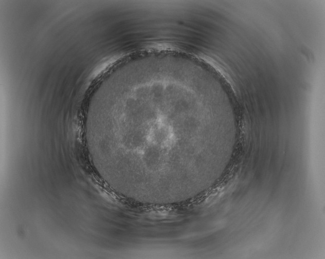 X0000111140823200906301228